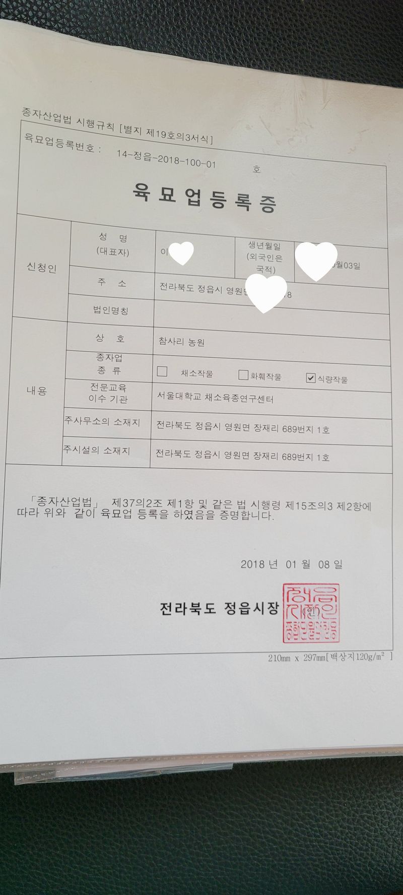 이동훈님의 장터 판매 상품 [고구마종순판매 1단(100)기준] 첨부 사진