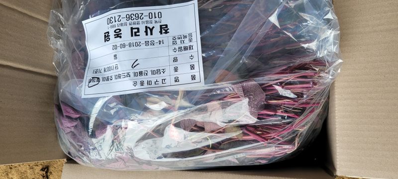 이동훈님의 장터 판매 상품 [고구마종순판매 1단(100)기준] 첨부 사진