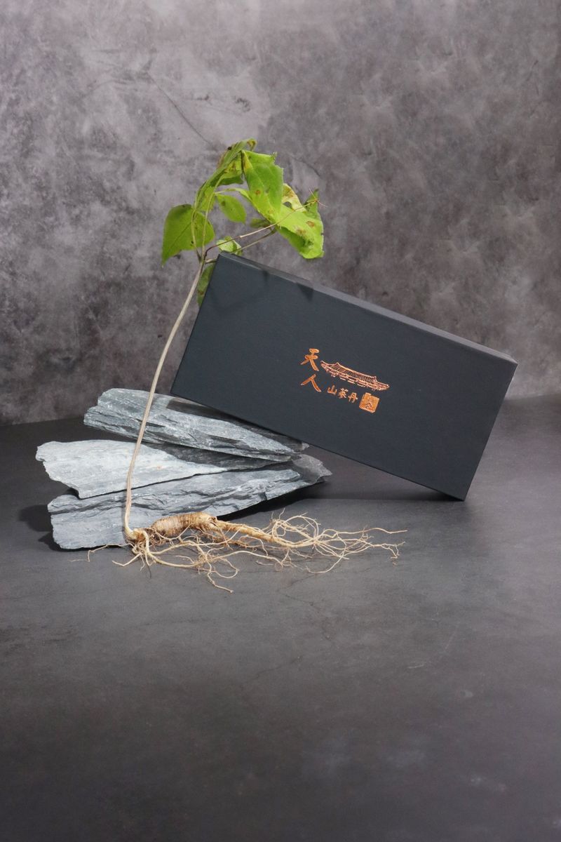 장터 상품 [침향산삼단(5g×10ea)] 썸네일