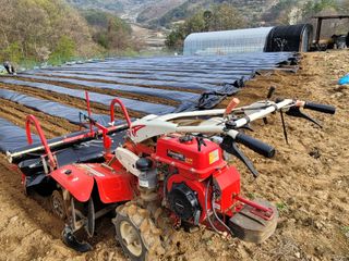 여우내 이순홍님의 고추 · 토양준비 작성글 사진