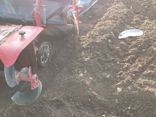 여우내 이순홍님의 고추 · 토양준비 작성글 사진