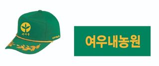 여우내 이순홍님의 고추 · 토양준비 작성글 사진