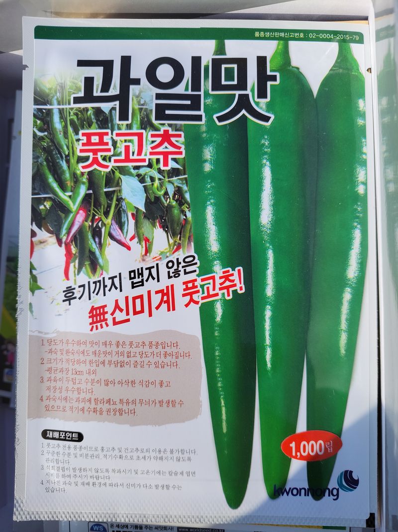 장터 상품 [과일맛 풋고추 모종] 썸네일