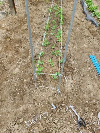 김찬우님의 콩 · 자유게시판 작성글 사진