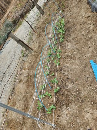 김찬우님의 콩 · 자유게시판 작성글 사진