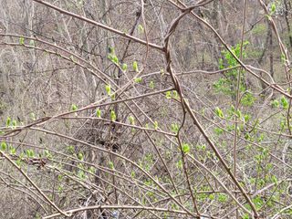 자연농원 순 강재옥님의 자유주제 · 자유게시판 작성글 사진