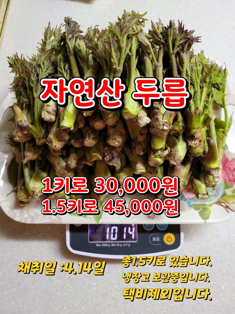 김봉호님의 장터 판매 상품 [자연산 두릅,다래순 ] 첨부 사진