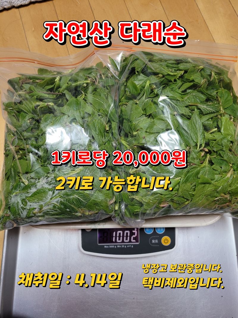 김봉호님의 장터 판매 상품 [자연산 두릅,다래순 ] 첨부 사진