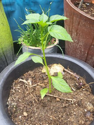 아준님의 자유주제 · 자유게시판 작성글 사진