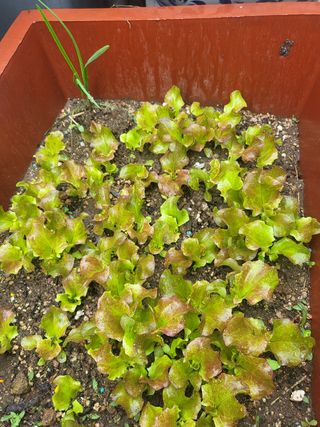 아준님의 자유주제 · 자유게시판 작성글 사진