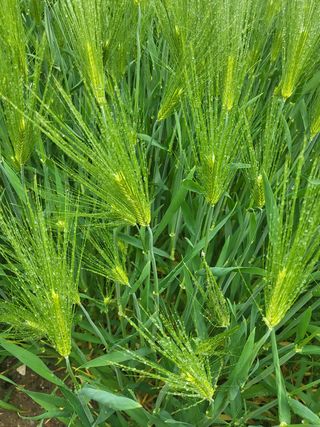 아준님의 자유주제 · 자유게시판 작성글 사진