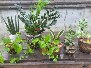 아준님의 자유주제 · 자유게시판 작성글 사진