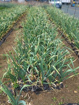 아준님의 자유주제 · 자유게시판 작성글 사진