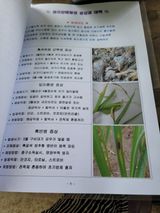 팜모닝 기타작물·자유게시판 게시글 이미지