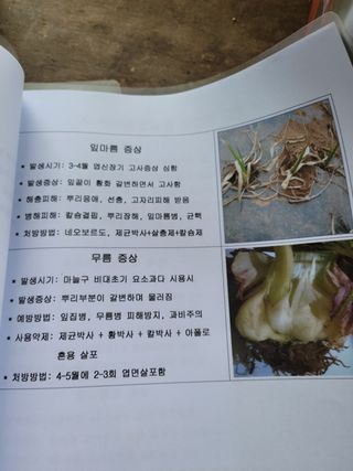 지례댁님의 기타작물 · 자유게시판 작성글 사진