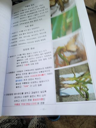 지례댁님의 기타작물 · 자유게시판 작성글 사진