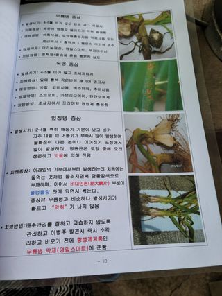 지례댁님의 기타작물 · 자유게시판 작성글 사진