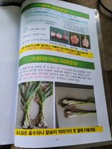 팜모닝 기타작물·자유게시판 게시글 이미지