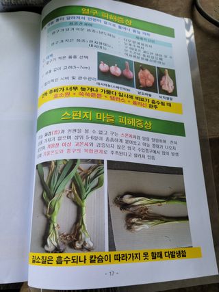 지례댁님의 기타작물 · 자유게시판 작성글 사진