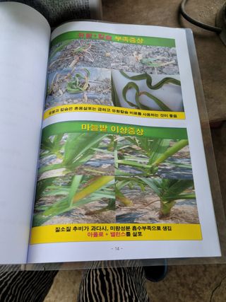 지례댁님의 기타작물 · 자유게시판 작성글 사진