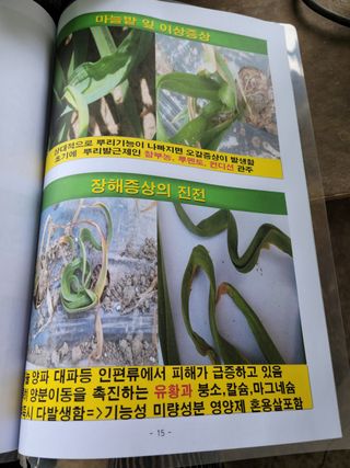 지례댁님의 기타작물 · 자유게시판 작성글 사진