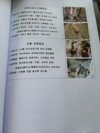 지례댁님의 기타작물 · 자유게시판 작성글 사진