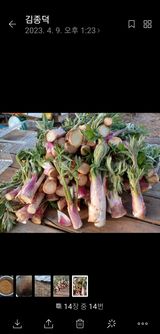 팜모닝 · 게시글 이미지