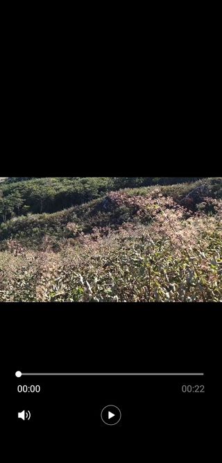 김종덕님의 작성글 사진