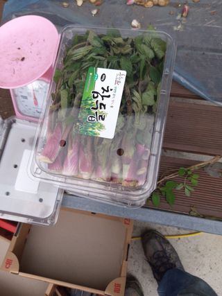 김종덕님의 작성글 사진