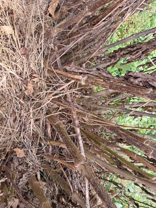 김종덕님의 작성글 사진