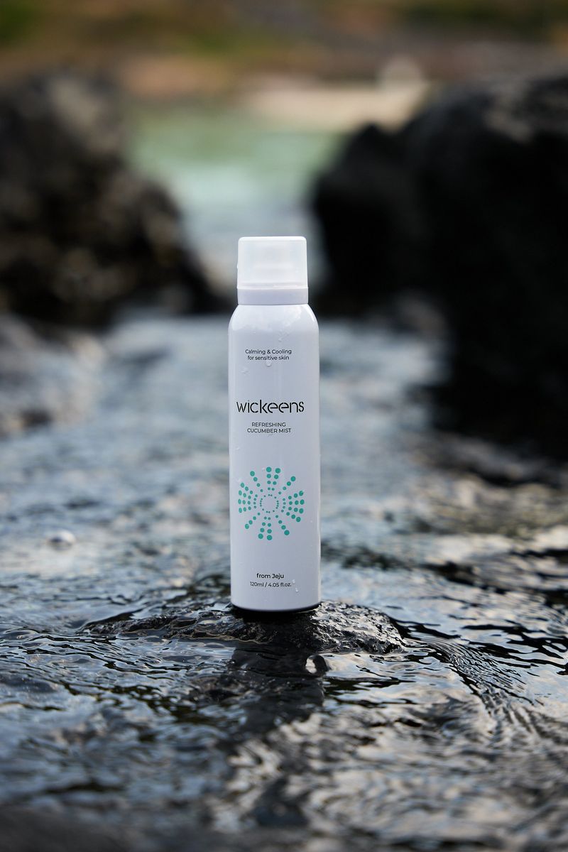 김종덕님의 장터 판매 상품 [야생 땅두릅모종2판[순]] 첨부 사진