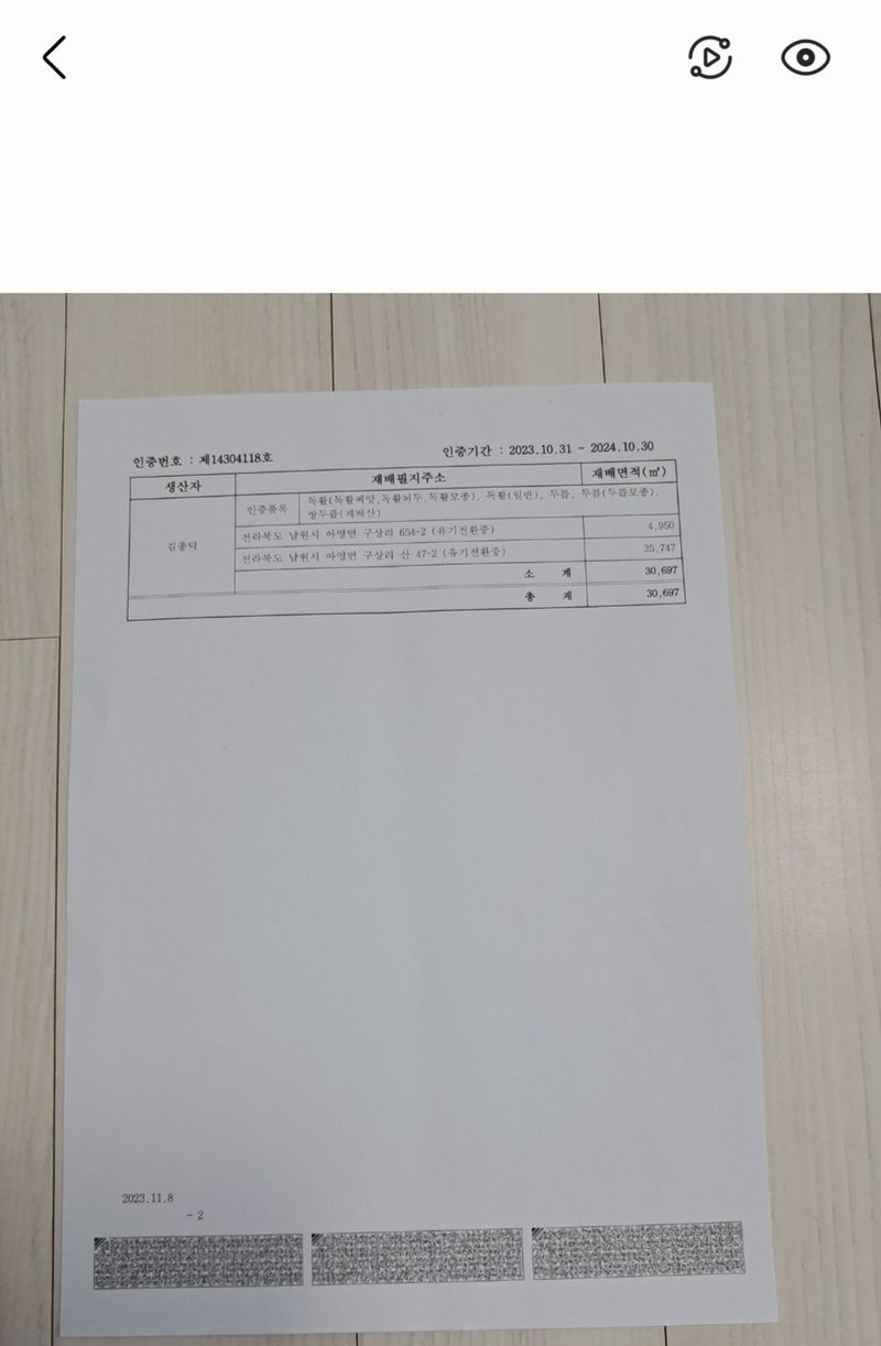 김종덕님의 장터 판매 상품 [야생 땅두릅모종2판[순]] 첨부 사진