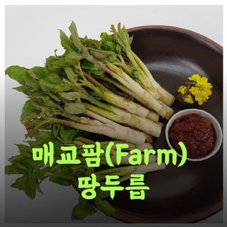 상근님의 작성글 사진