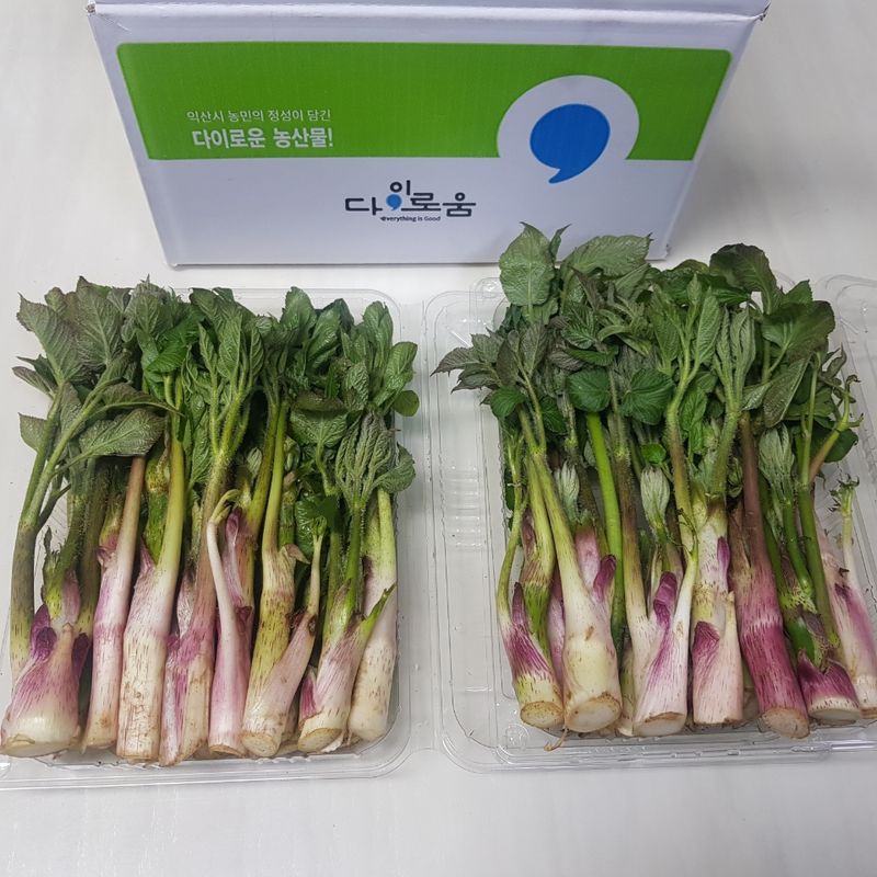 상근님의 장터 판매 상품 [(무료배송)땅두릅 두릅 500g, 1kg] 첨부 사진