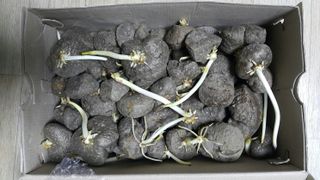 정보센터님의 작성글 사진