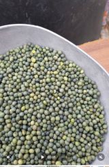 팜모닝 · 게시글 이미지