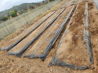 HYUN님의 기타작물 · 자유게시판 작성글 사진