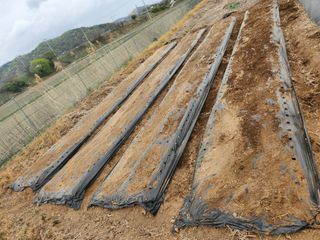 HYUN님의 기타작물 · 자유게시판 작성글 사진