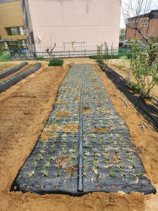 HYUN님의 기타작물 · 자유게시판 작성글 사진