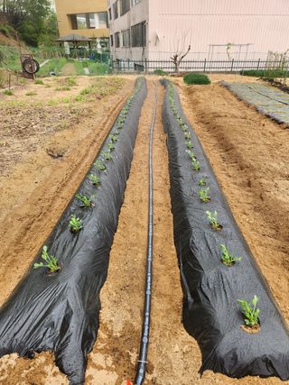 HYUN님의 기타작물 · 자유게시판 작성글 사진