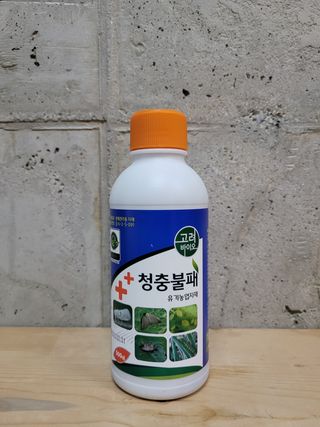 정호영님의 작성글 사진