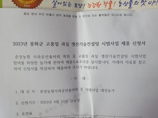 오임돈님의 사과 · 품질 향상 작성글 사진