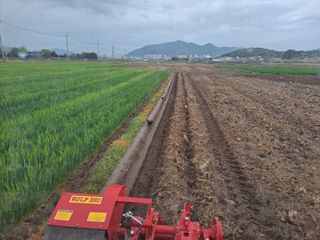 사천시향촌동 돼지띠님의 벼 · 자유게시판 작성글 사진