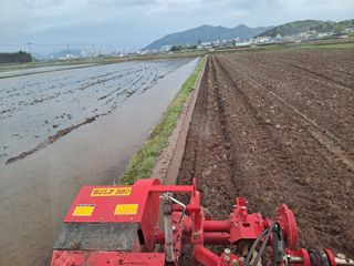 사천시향촌동 돼지띠님의 벼 · 자유게시판 작성글 사진