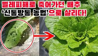 박근희님의 작성글 사진