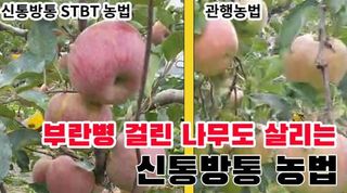 박근희님의 작성글 사진