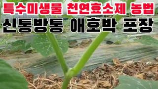 박근희님의 작성글 사진