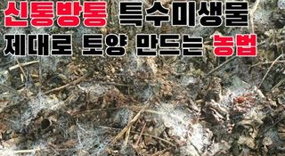 박근희님의 작성글 사진