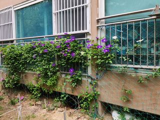 다야님의 자유주제 · 자유게시판 작성글 사진