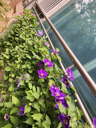 다야님의 자유주제 · 자유게시판 작성글 사진